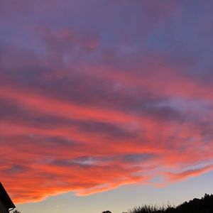 Meet your Posher, Kylie